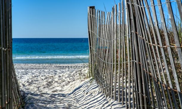 What to do, Where to go - Florida Weekly