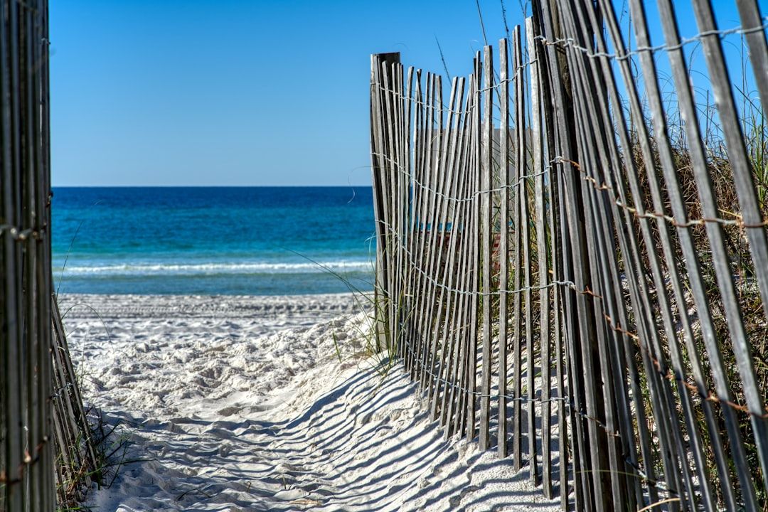 What to do, Where to go - Florida Weekly