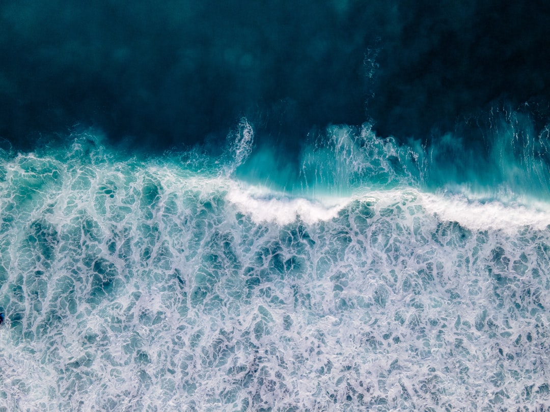 Encore: The connection between increased CO2 levels and ocean acidification