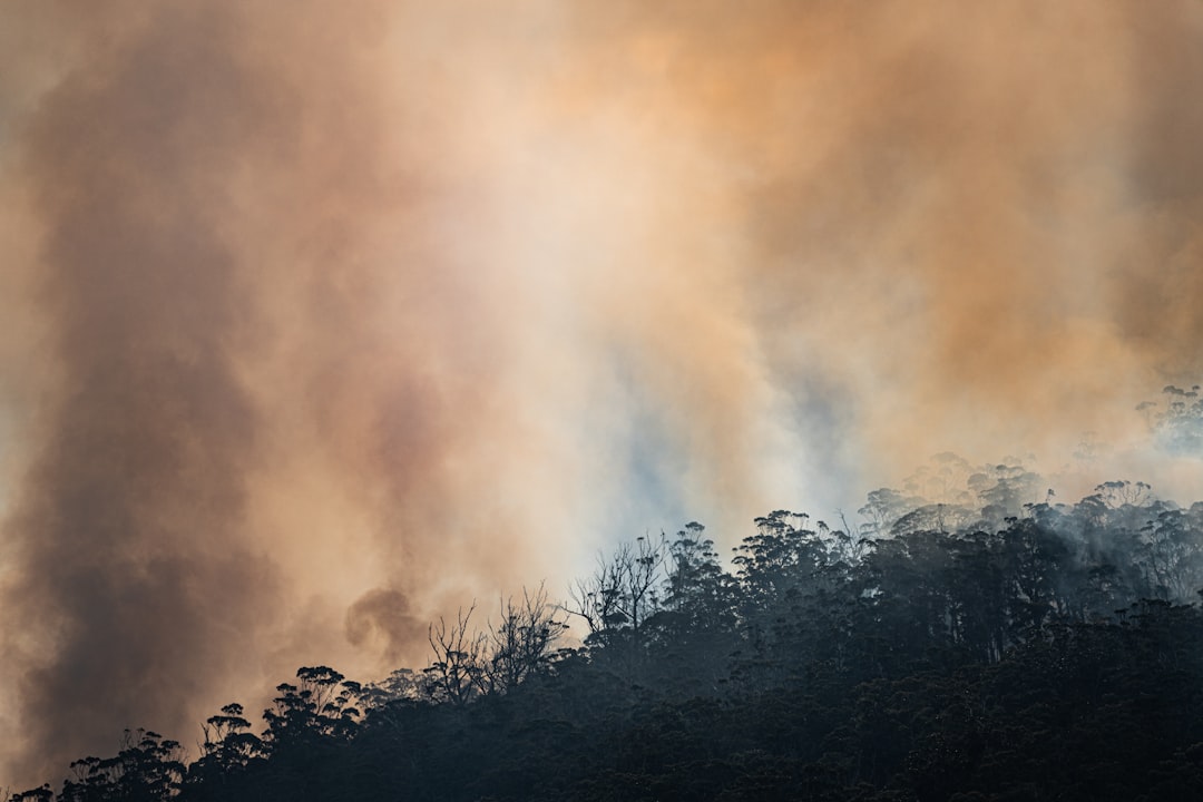Firefighters battle wildfire in east Collier County near Picayune Strand State Forest