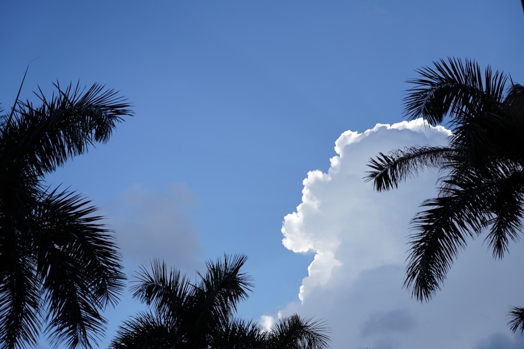 Florida's record heat: Naples sizzles, SWFL city ties mark for second hottest day in history