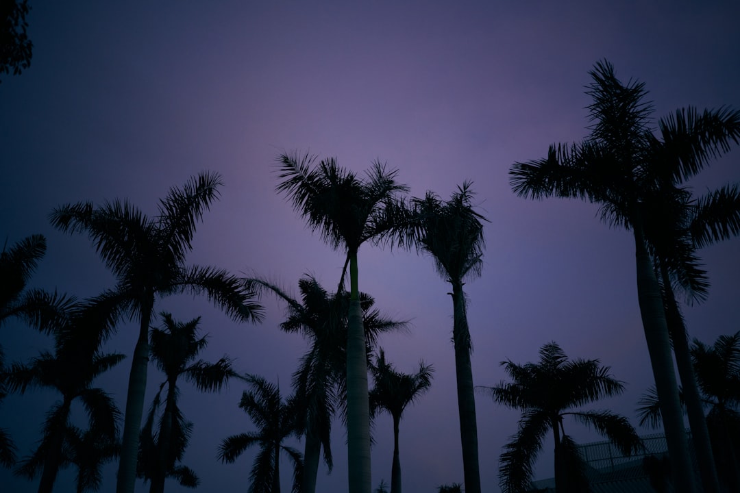 Hurricane Center: Erin expected to become Cat 3 hurricane. Naples, Collier County impact?