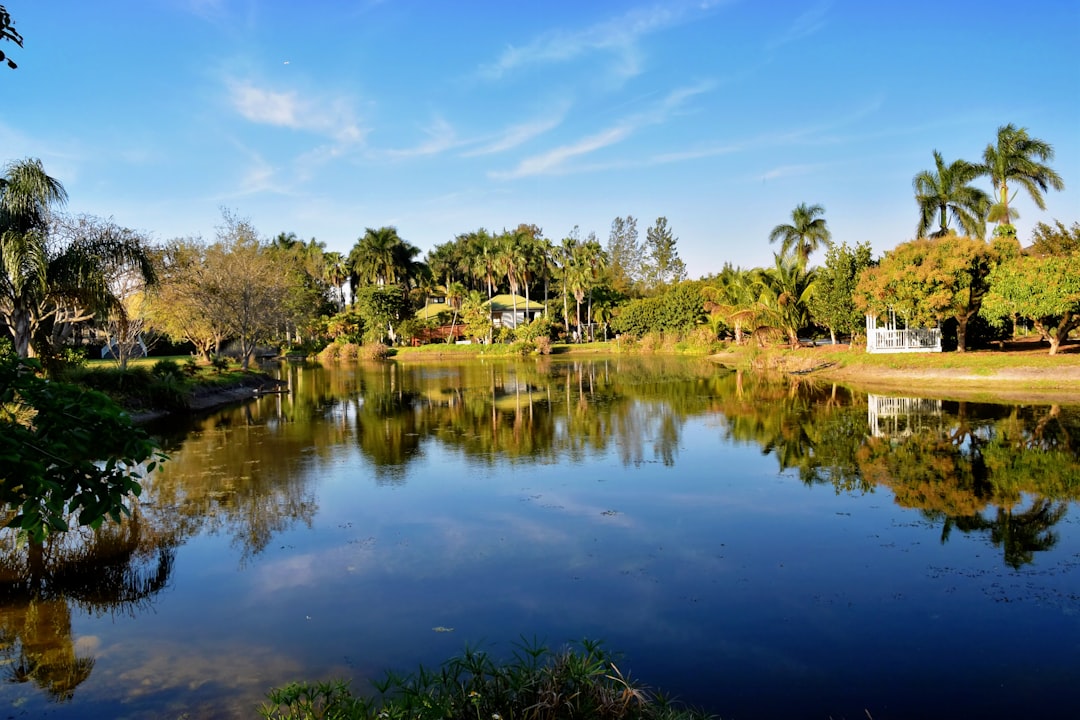 Memorial Day 2025: Top events in Naples, Bonita Springs and all over Southwest Florida