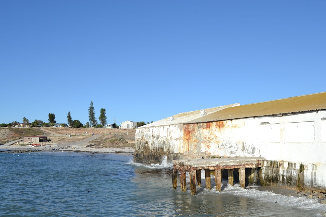 Rookery Bay Environmental Learning Center features tough tanks, nature history, wildlife