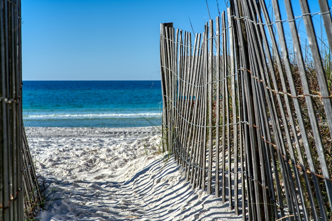 What to do, Where to go - Florida Weekly