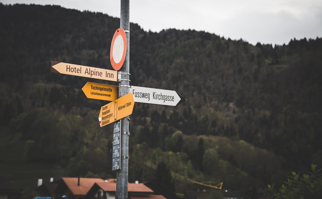 What to do, Where to go